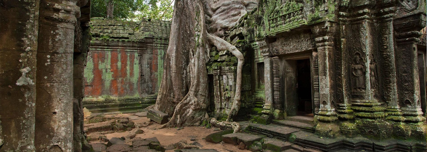 Discover Best Local Cambodia Tours