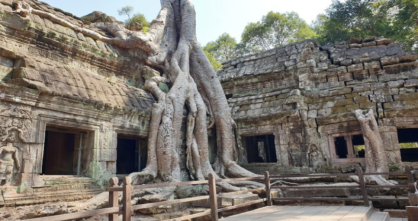 Angkor Wat Sunrise Private Tour