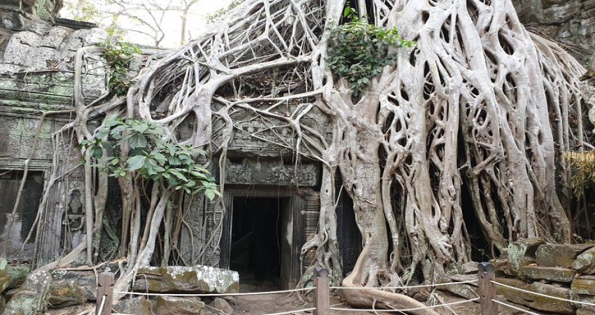 Magical Day Temples Of Angkor